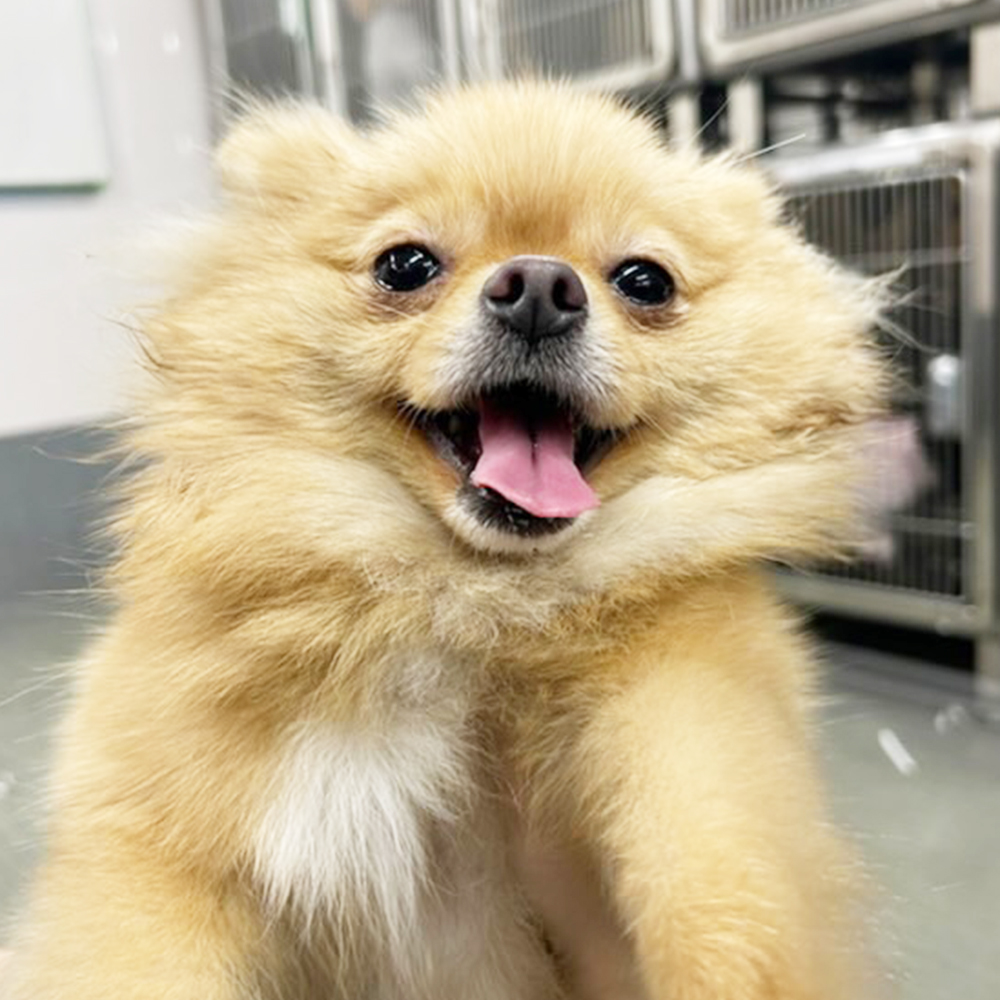 生徒が撮影してくれた写真♪①
